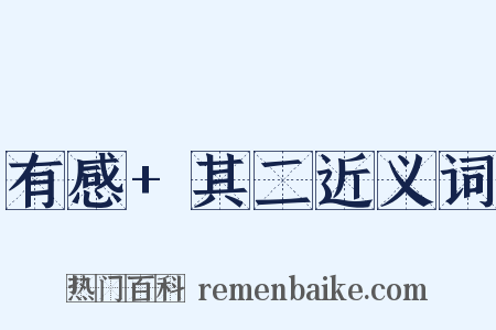 有感+其二近义词是什么意思的图片